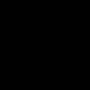 Meet your Posher, Rylee